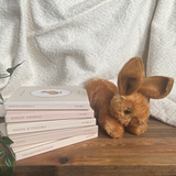 Our Little Library Vol. 1