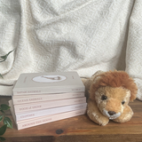 Our Little Library Vol. 2