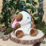 Clover the Bunny Rabbit