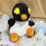 Rocco the Rockhopper Penguin