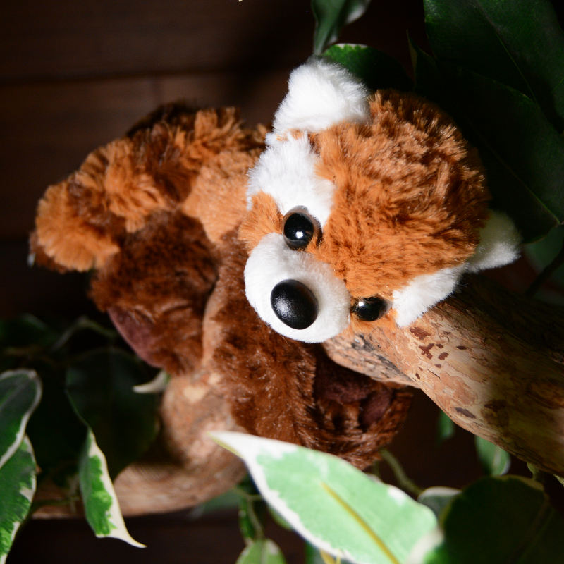 Red hot sale panda bracelet