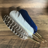Ballpoint Turkey Feather Pen