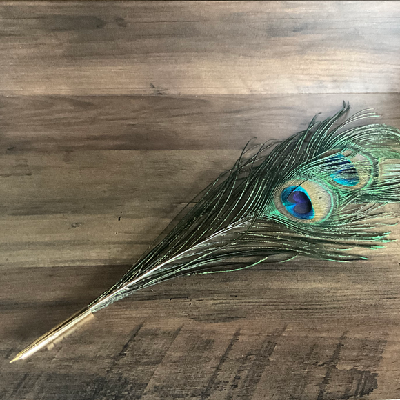 Calligraphy Pen - Peacock Feather