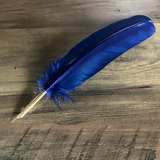 Calligraphy Pen - Turkey Feather