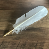 Calligraphy Pen - Turkey Feather