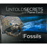 Flood Fossils