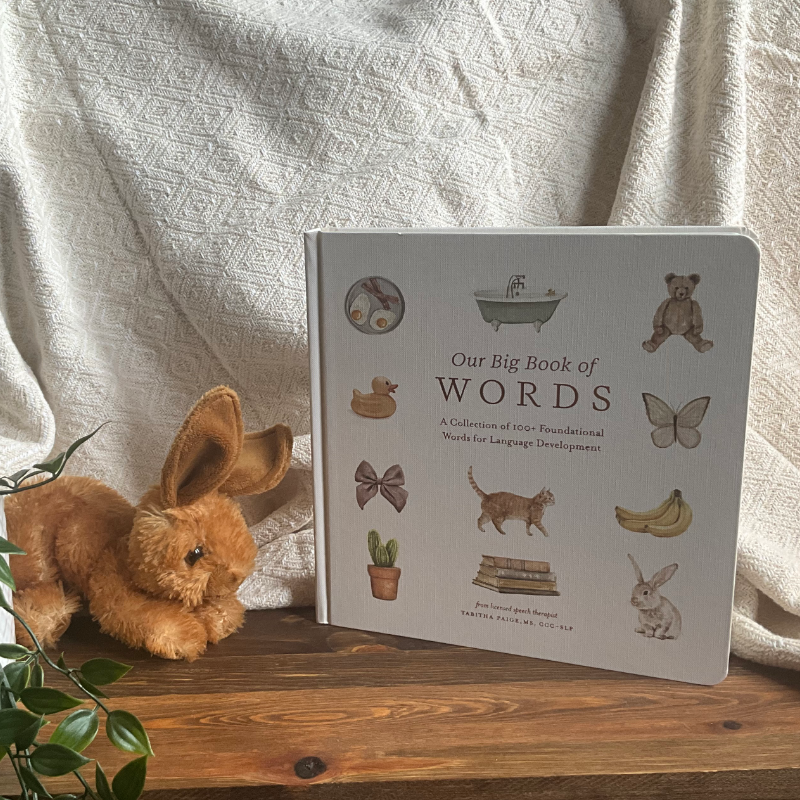 Our Big Book of Words – Merchant Ship