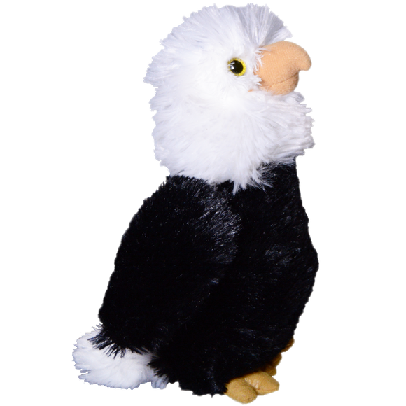 Bald Eagle Merchant Ship