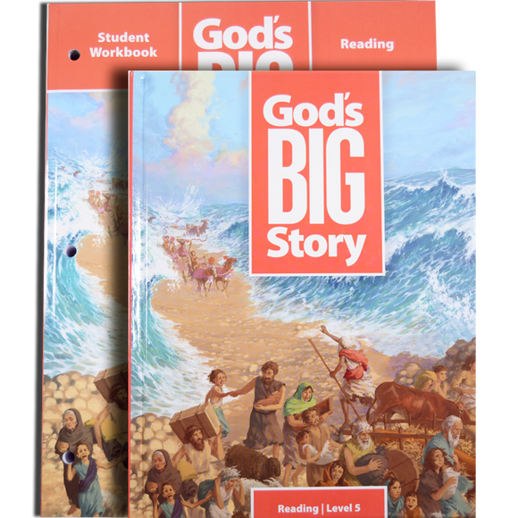 God's Big Story Level 5